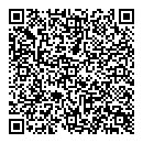 QR код "Дизель"