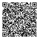 QR код "Серый кот"