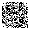 QR код "Stego"