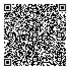 QR код "DV Link"