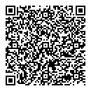 QR код "Blum"
