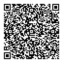 QR код "220 вольт"