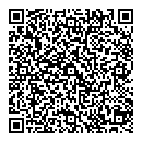 QR код "Shock"