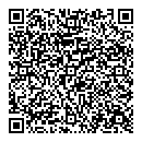 QR код "Поллукс"