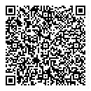 QR код "Элегия"