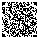 QR код "Зенит"