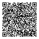 QR код "Блеск"
