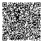 QR код "ДВ СТАНДАРТ"
