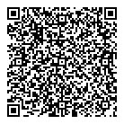 QR код "Гейша"