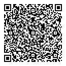 QR код "Спутник"