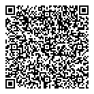 QR код "Звездочка"