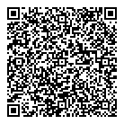 QR код "Профессионал"