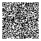 QR код "Аэлита"