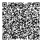 QR код "DaVinci"