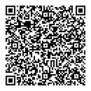 QR код "Звездный"