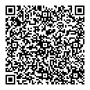 QR код "Solo"