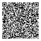 QR код "Созвездие"