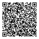 QR код "Глобус"