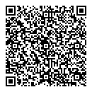 QR код "Домино"
