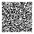 QR код "Ленивый кот"