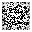 QR код "Звездочка"