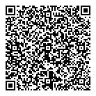 QR код "Звездочки"