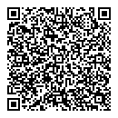 QR код "Глобус"