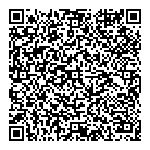 QR код "Мир игрушки"