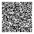 QR код "Город игрушек"