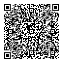 QR код "Барс"