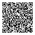 QR код "Lady Mix"