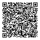 QR код "Novel"