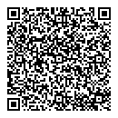 QR код "Блисс"