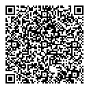 QR код "Элвис"
