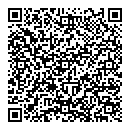 QR код "Лунный"