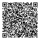 QR код "Ромашка"