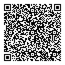 QR код "Давид"