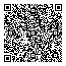 QR код "Звездный"