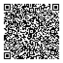 QR код "Домино+"