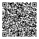 QR код "Венеция"