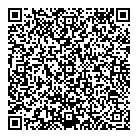QR код "Домино"