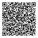 QR код "Чайка"