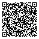 QR код "Спутник"