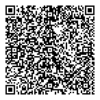 QR код "China Dom"