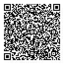 QR код "Мир"