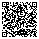 QR код "Глобус"