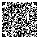 QR код "Авиатор"