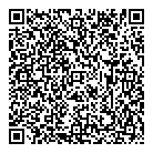 QR код "Art Vinyl"