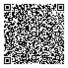 QR код "Art Vinyl"