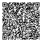 QR код "Art Vinyl"